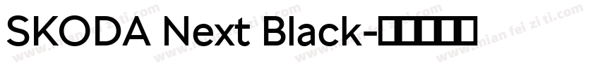 SKODA Next Black字体转换
